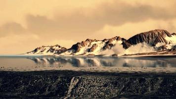 costa de la antártida con piedras y hielo