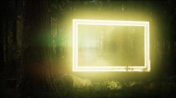 neon glödande rektangel ram i nattskogen video
