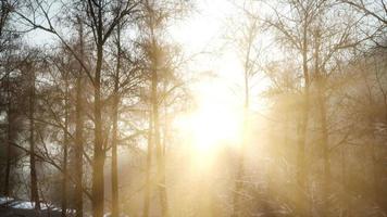 beautiful winter landscape in the mountains video