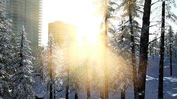 sidade e floresta na neve ao nascer do sol