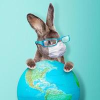 Easter rabbit with medical mask at epidemic time photo