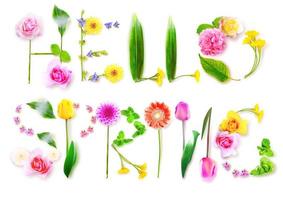 Flowers and herbs with word spring. Creative floral composition. photo