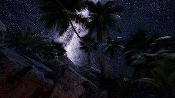 4k trilhas de estrelas hyperlapse sobre paredes e palmeiras do desfiladeiro de arenito video