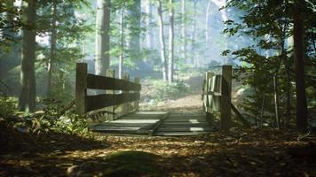 Alte Holzbrücke über einen kleinen Bach in einem Park video