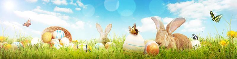 Funny Easter bunny. Happy Easter holiday concept. photo