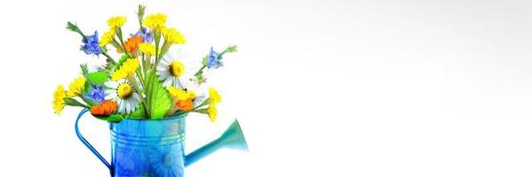 Colorful wild flower bouquet in a watering can. Concept of spring and gardening. photo