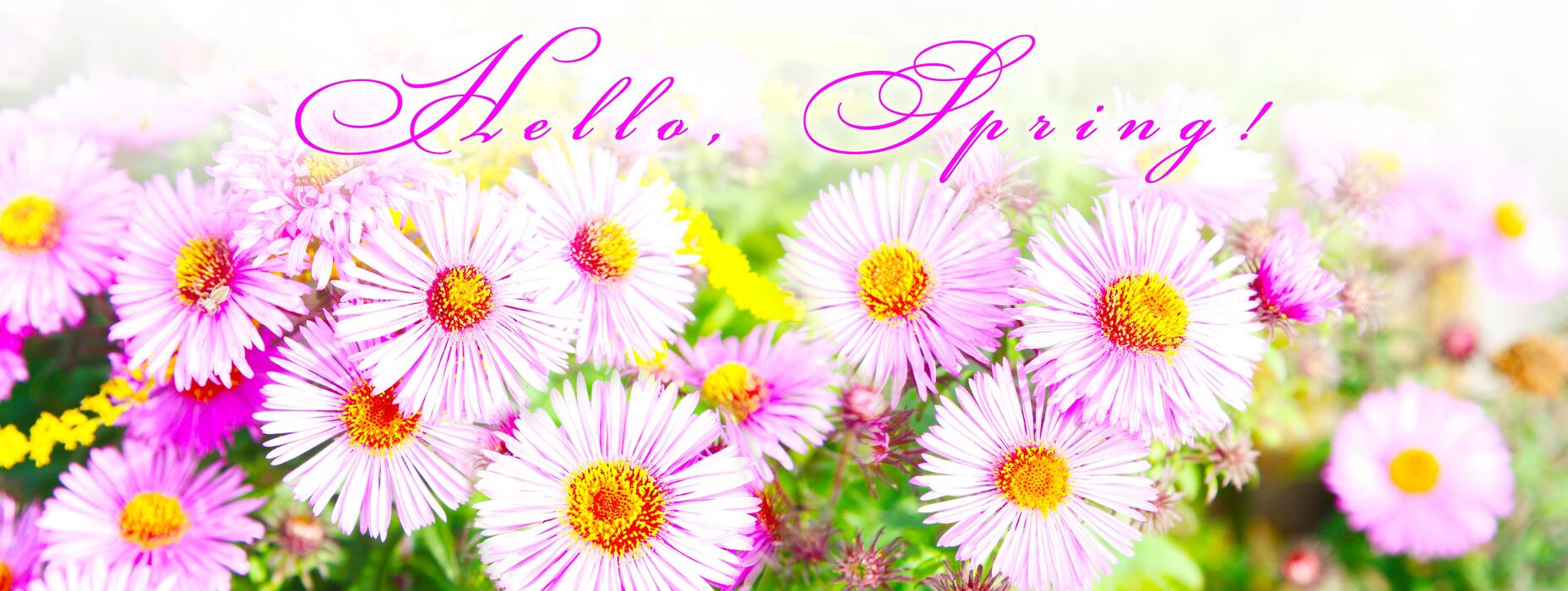 Sprint Flowers Stock Photos, Images and Backgrounds for Free Download
