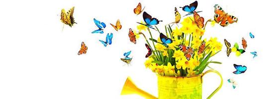 Colorful wild flower bouquet in a watering can with butterflies. photo