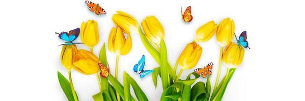 hermosos tulipanes y mariposas. fondo de naturaleza de primavera para banner web foto