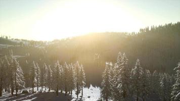 paisagem de inverno brilhando pela luz do sol pela manhã