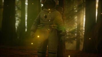 astronaute solitaire dans la forêt sombre video