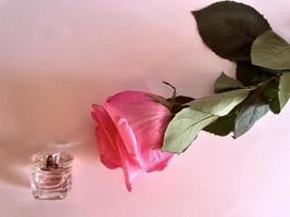 Pink rose and perfume bottle at pink background photo