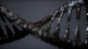 DNA-Molekül auf dem grauen Hintergrund video