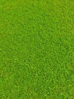 Green football field grass photo