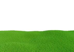 3d rendering. Green grass field isolated on white background. photo