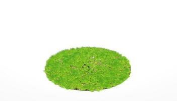 3d rendering. Cross section of circle with green grass isolated on white background. photo