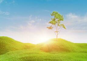3d rendering. Green grass field with clouds and sun over blue sky background. Nature landscape.