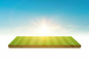 3D Rendering. Green grass soccer field and sky cloud background. photo