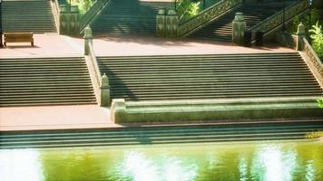 lagoa tranquila emoldurada por um parque florestal verdejante ao sol video