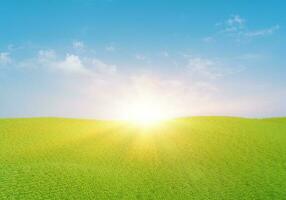 3d rendering. Green grass field with clouds and sun over blue sky background. Nature landscape. photo