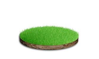 Soil round cross section with grass isolated on white background. 3D rendering photo