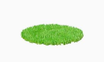 3d rendering. Green grass round patch isolated on white background. photo