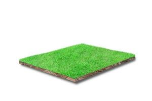 3D render. Soil cubical cross section with green grass isolated on white background photo