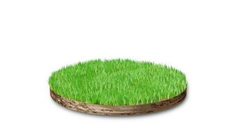 Soil round cross section with grass isolated on white background. 3D rendering photo