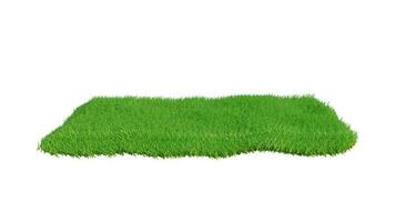 Green grass field isolated on white background. 3d rendering photo