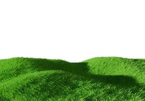 3d rendering. Green grass field isolated on white background. photo