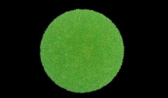 representación 3d bola de hierba verde sobre un fondo negro. foto