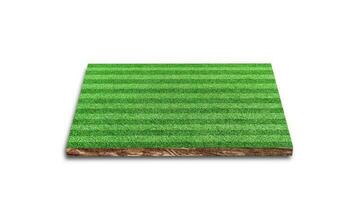 3D Rendering. Stripe of soccer lawn field, Green grass football field, Isolated on white background. photo