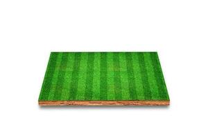 Soil cubical cross section with soccer field, green grass, Isolated on white background. 3D Rendering. photo