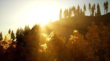 puesta de sol brillante en las montañas con bosque video