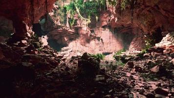 large fairy rocky cave with green plants video