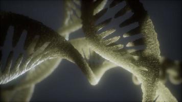 boucle double structure hélicoïdale de l'animation en gros plan du brin d'adn