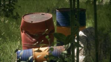 Rusty barrels in green forest video