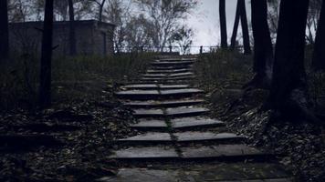 old abandoned garages in the forest video