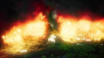 vent soufflant sur des arbres enflammés lors d'un incendie de forêt video