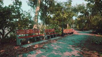 Empty benches at public park during curfew cause of Corona Virus quarantine video