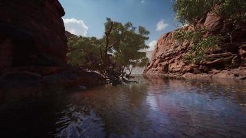 reflektion i Coloradofloden i grand canyon video