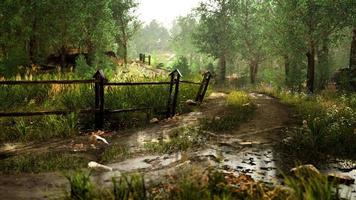 antigua valla de madera y ruta de senderismo por el bosque video