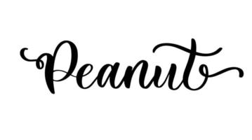Peanut lettering logo vector illustration design template.