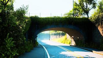 ponte em arco com galhos de arbustos vivos no parque video