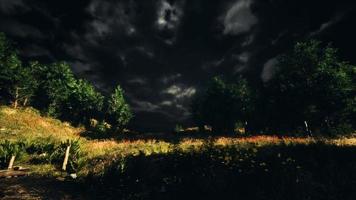 Thunderstorm clouds with lightning in green meadow video