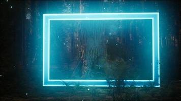 Neon glowing rectangle frame in the night forest video