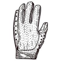 Football glove sketch isolated. Vintage element of goalkeeper in hand drawn style. vector