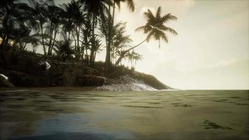 doux crépuscule de l'étonnante plage marine tropicale video