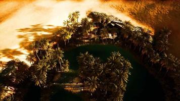 vista aérea de arriba hacia abajo del oasis en el desierto