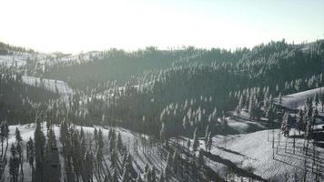 paisagem de montanha em um dia ensolarado de inverno video